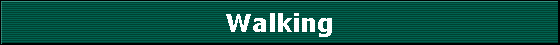 Walking